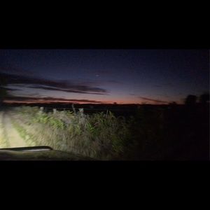 Meet your Posher, Miah